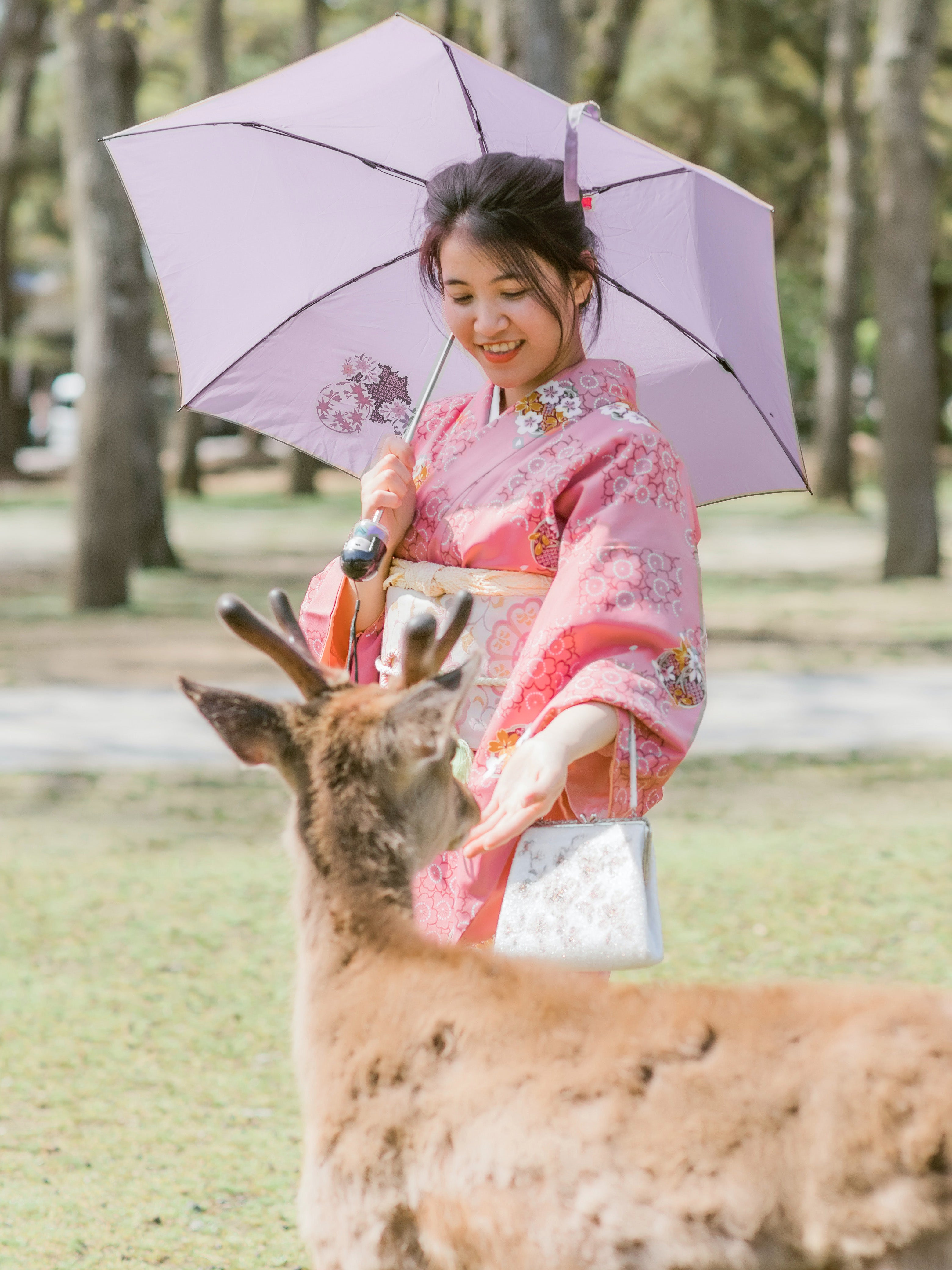 Japanese women wearing pink kimono