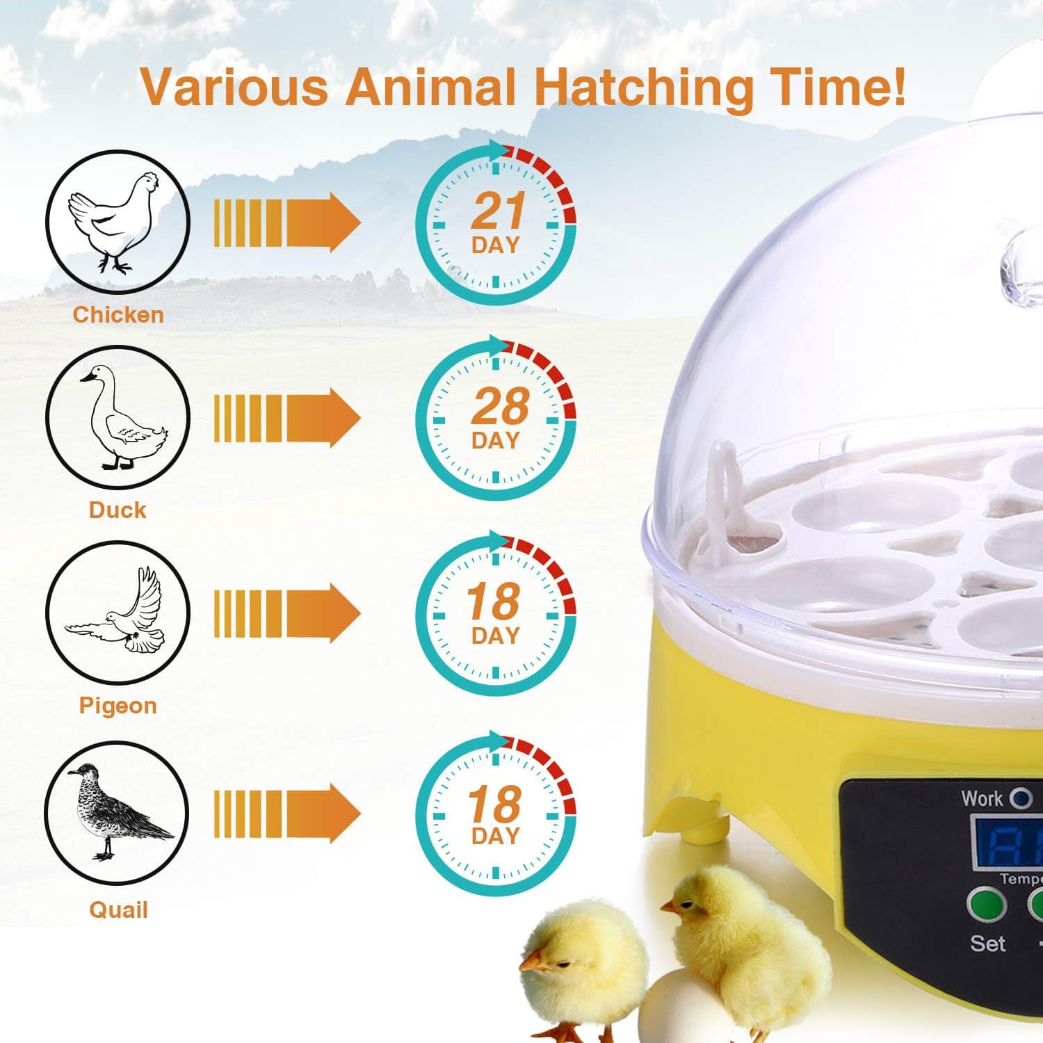 incubator for eggs temperature