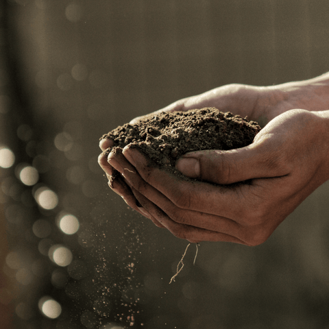 Farmer clasping a handful of soil