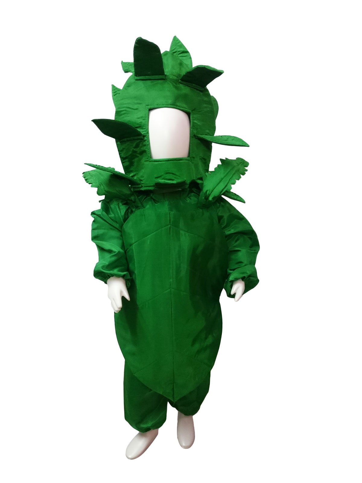 Rent & Buy Spinach Vegetable Kids Fancy Dress Costume Online in India