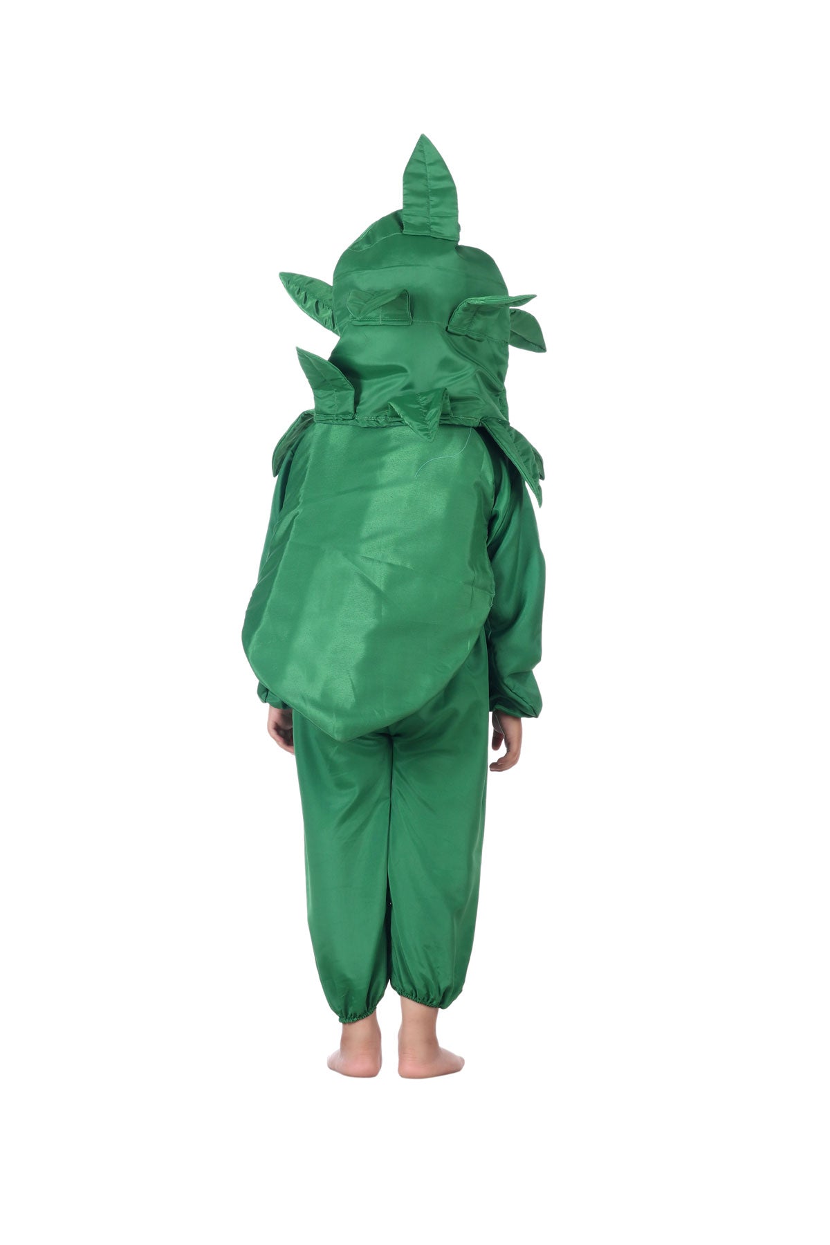 Rent Buy Green Peas Vegetable Kids Fancy Dress Costume Online India