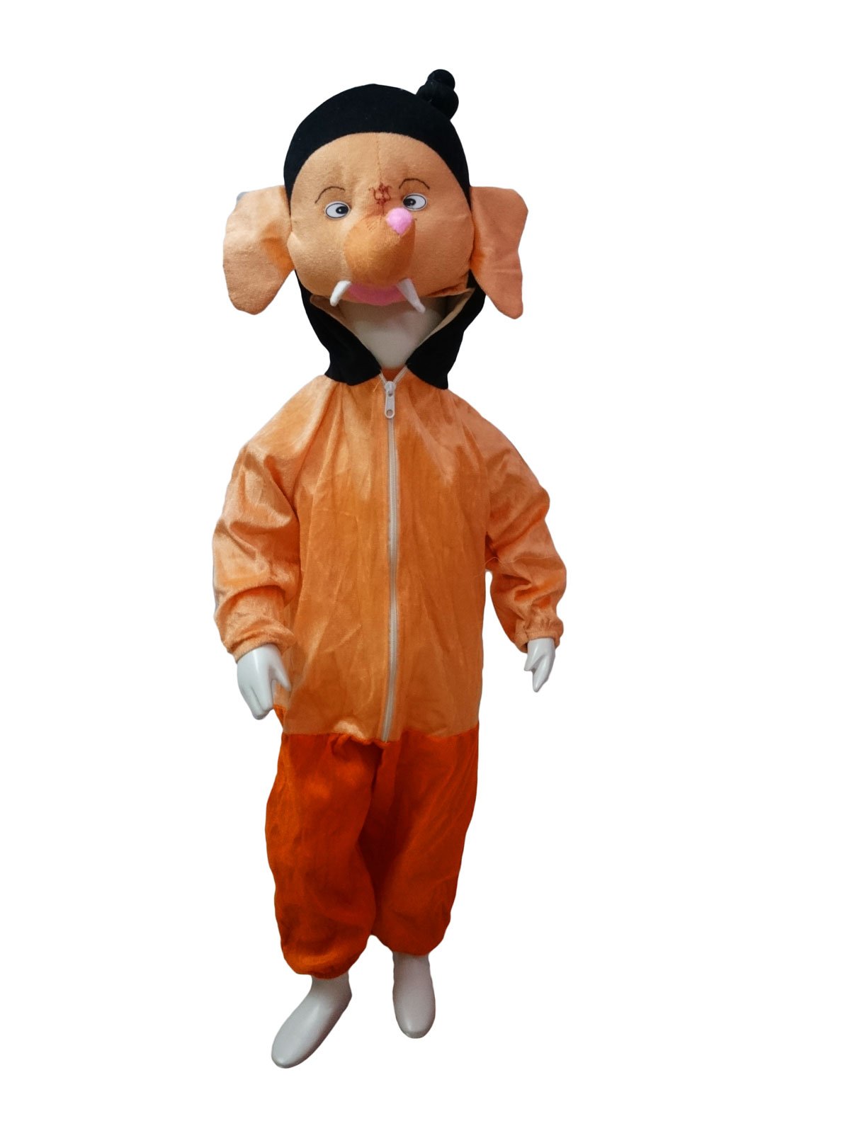 My Friend Ganesha Cartoon character Kids Fancy Dress