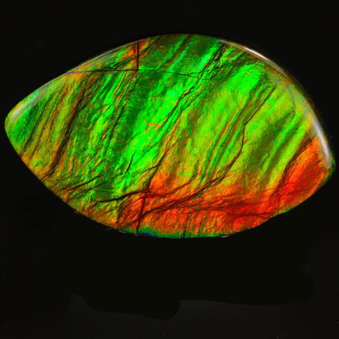 Ammolite - The Rainbow Colored Gemstone – KORITE