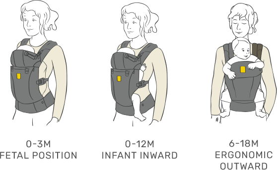 lillebaby carrier positions