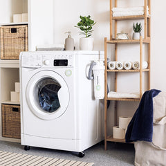 Laundry Room with White Washing Machine and Shelf that Has a House Plant