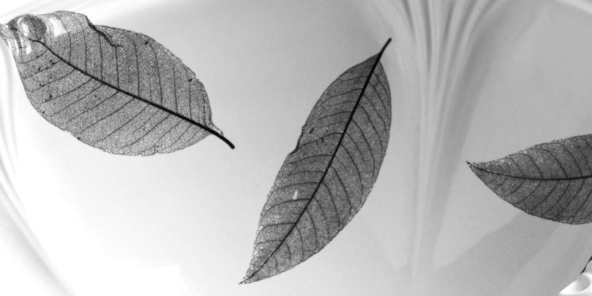 Random Leaves -Black