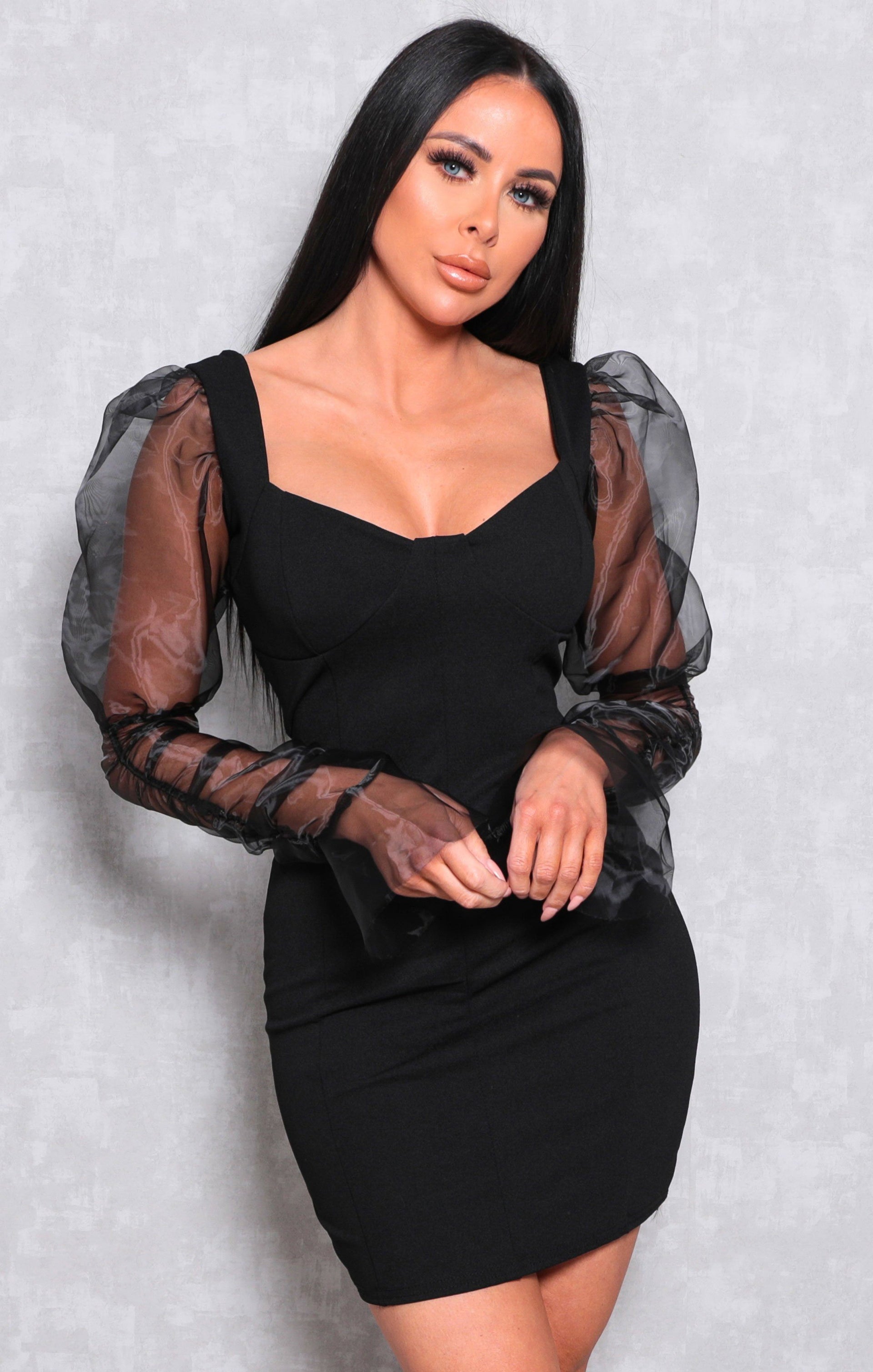 Black Organza Mesh Sleeve Bodycon Mini Dress | Dresses | Femme Luxe UK