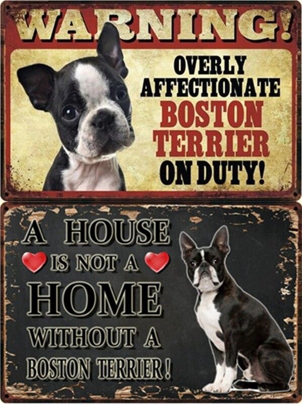 50 Boston Terrier Gifts for Boston Terriers Lovers 2023 – Tagged ...