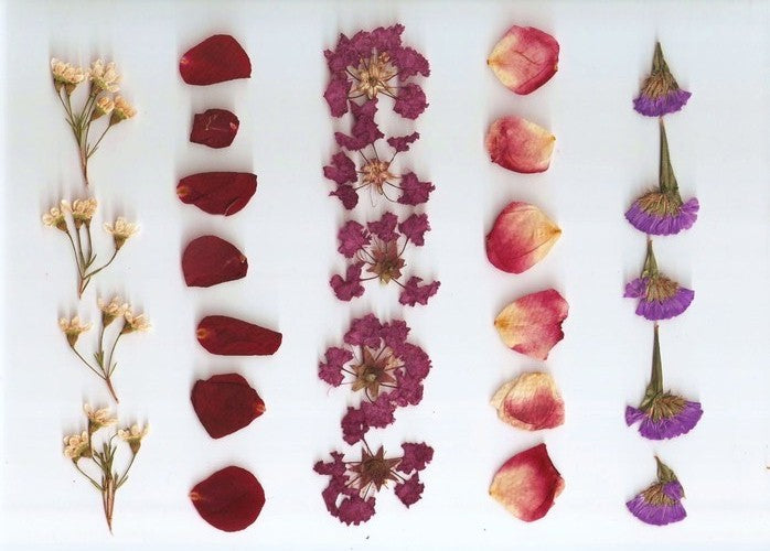 Mastering the Art of Flower Pressing