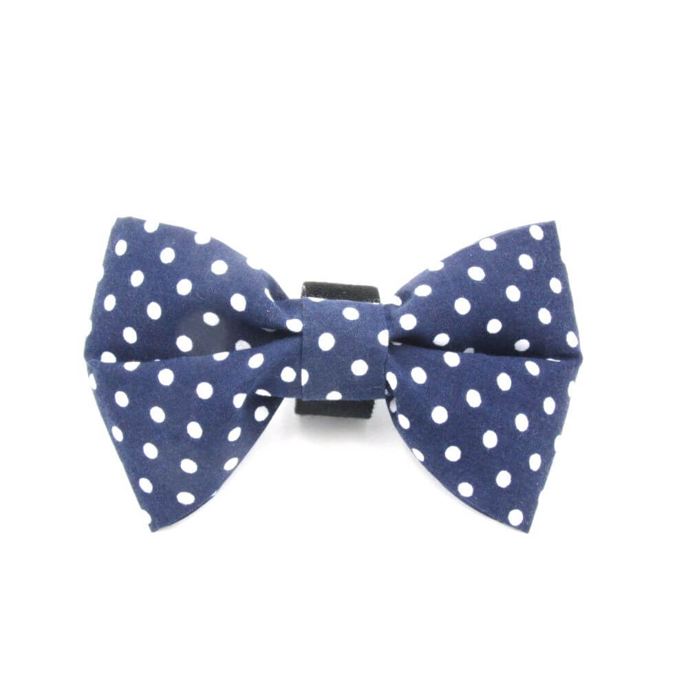 polka dot dog bow tie