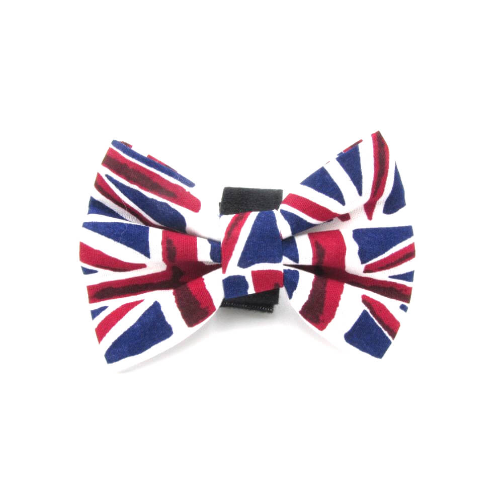 dog dickie bow tie