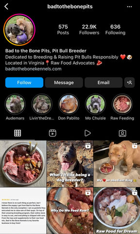 badtothebone pits instagram feed