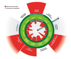 Planetary Boundaries