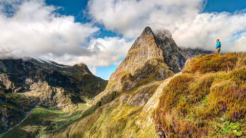 Milford track