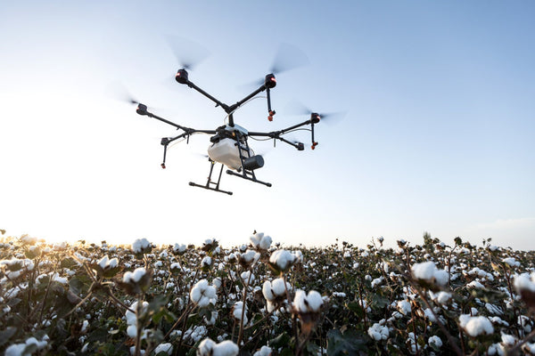 Agricultural Drone Over Cotton Field