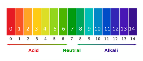 pH Scale Chart