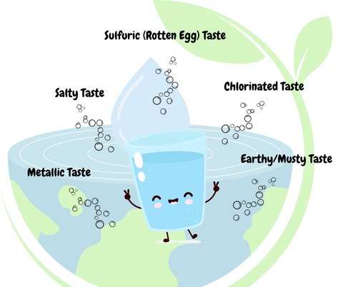 a diagram of Common Types of Drinking Water Tastes