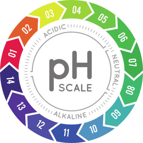 a photo of pH scale