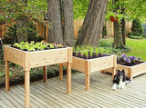 raised planters