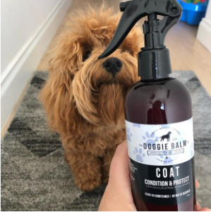 how do you moisturize a dogs hair