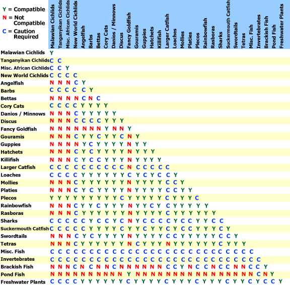 Cichlid Size Chart