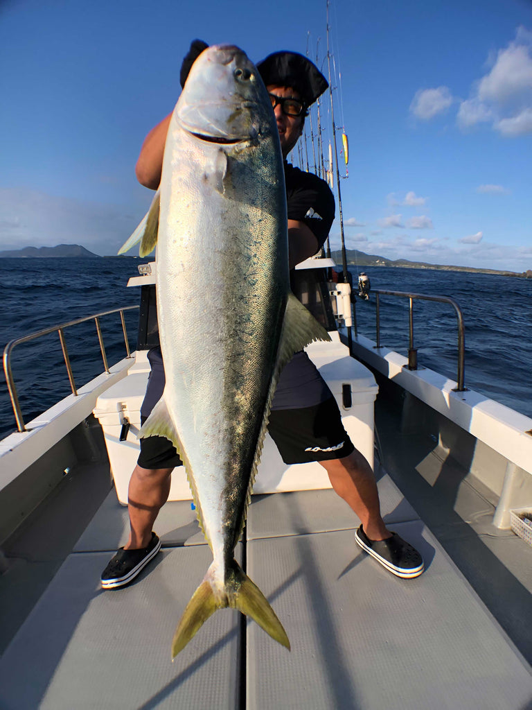 Toma from japan with Hiramasa (Kingfish)