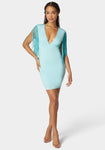 Plunging Neck Fitted Party Dress