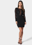 Mesh Sheer Illusion Dress