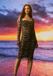 Animal Leopard Print Above the Knee Mesh Dress