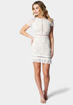 Sophisticated Applique Cocktail Shift Cap Sleeves Dress