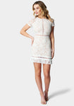 Sophisticated Cocktail Applique Cap Sleeves Shift Dress