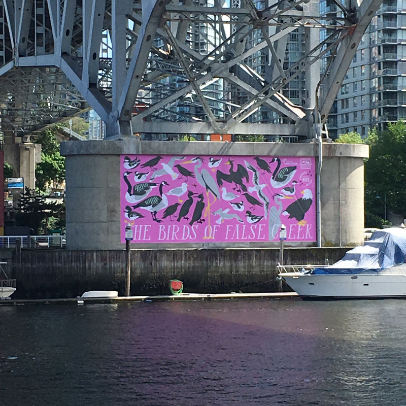 The Birds of False Creek