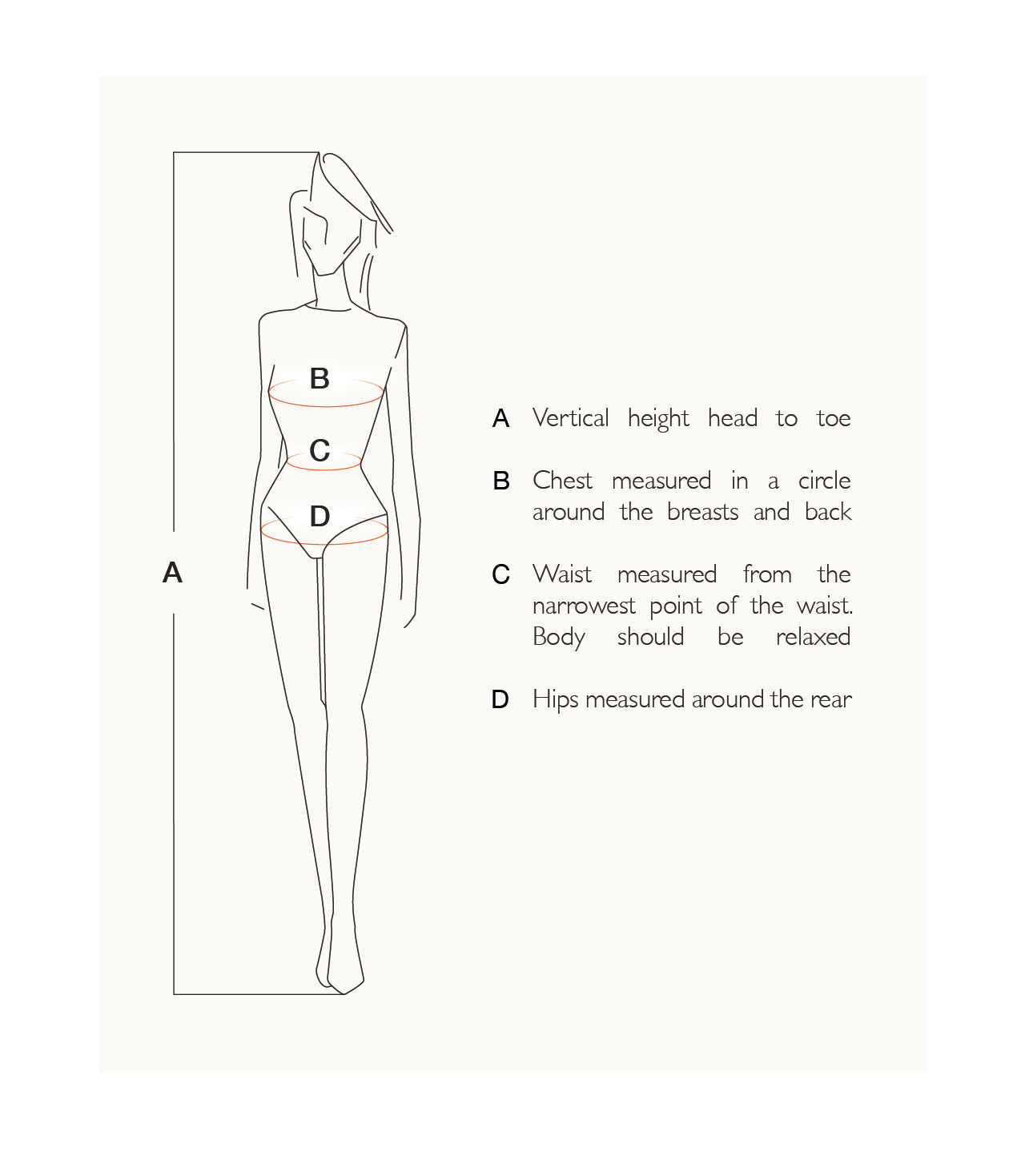 Body Measurements Table Bevza Official Online Store