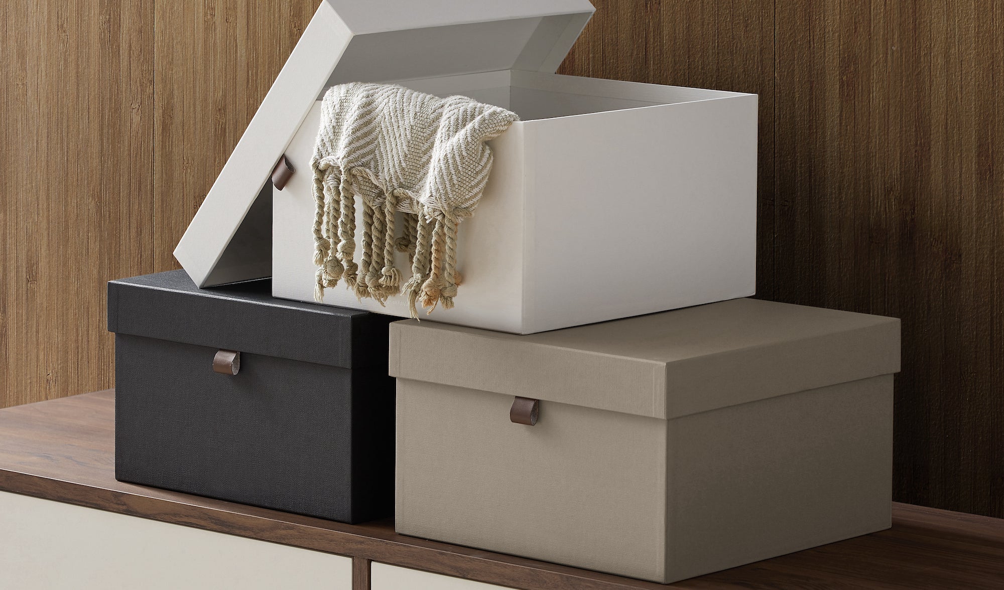 Bleecker Shoe Storage Boxes