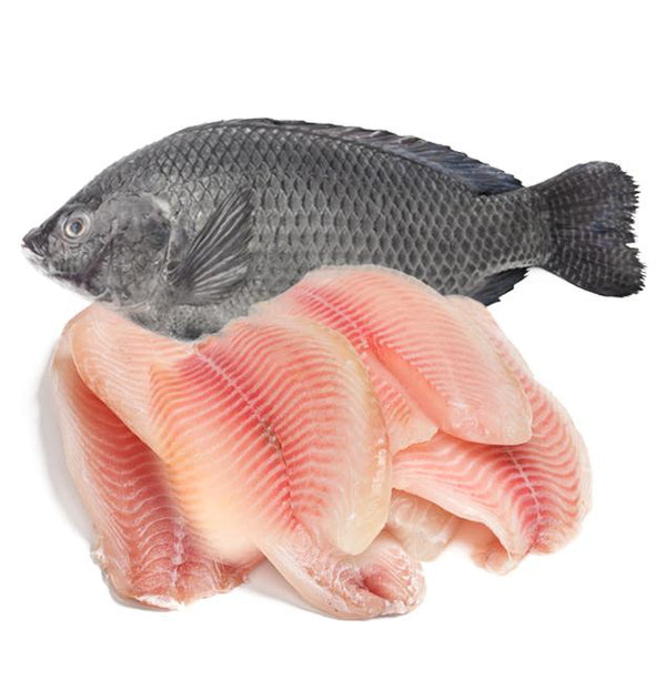 Hilsa Fish 3Pack - Grocee