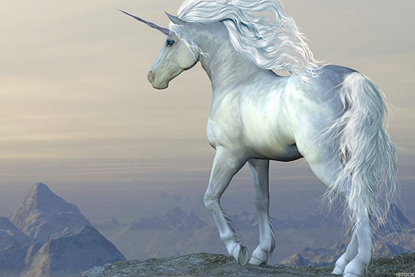 licorne blanche