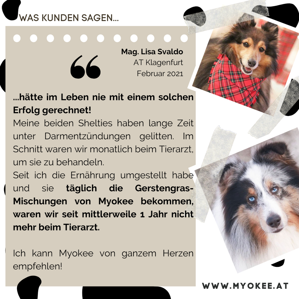 Erfahrungsbericht Lisa Svaldo mit Ihren Shelties