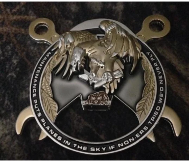 Maintainer Nation Skull Coin