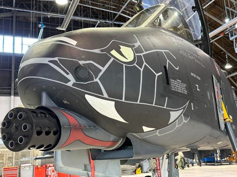 Indiana ANG A-10 Warthog Nose Art