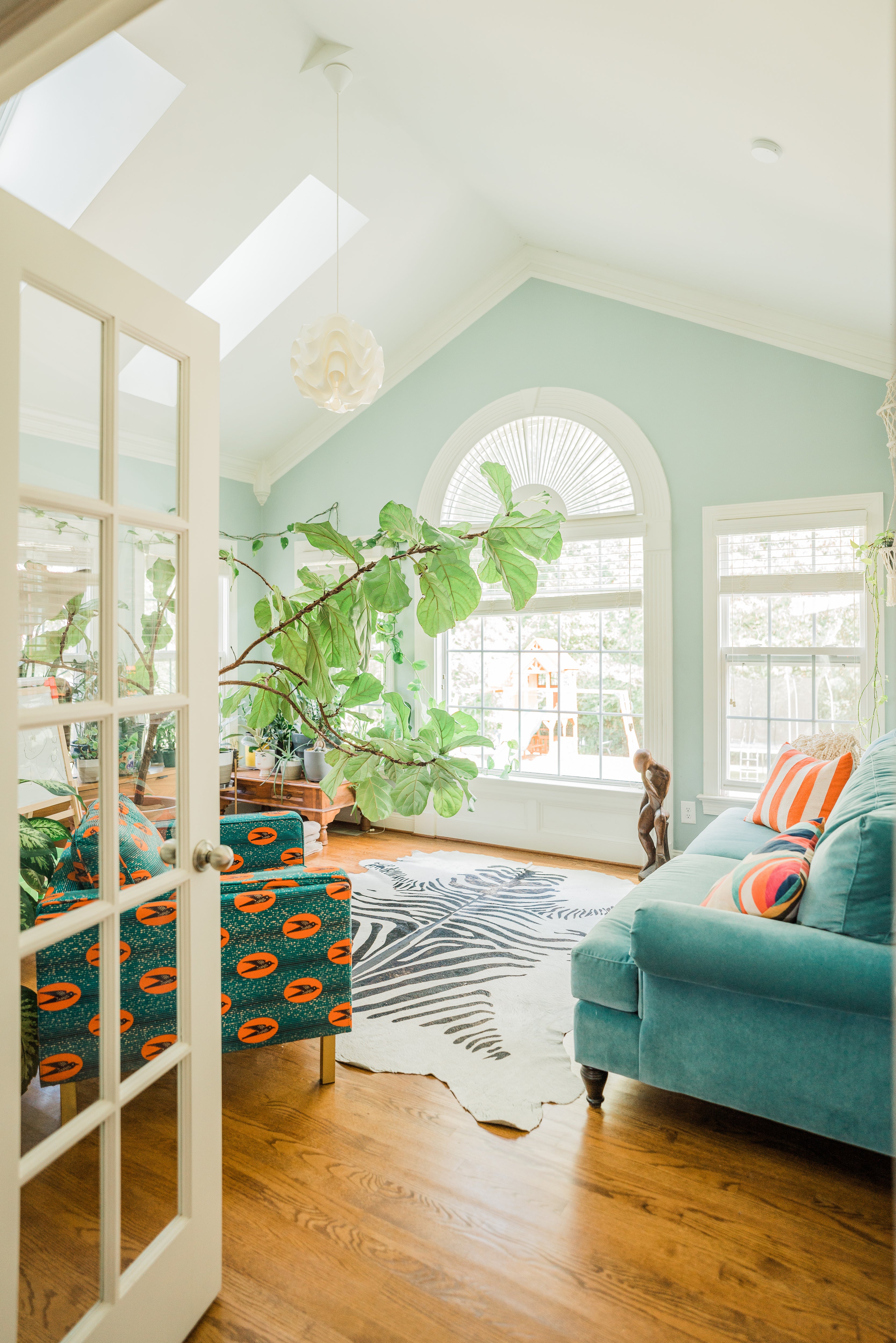 Bright sunroom with two sunlights, light blue walls, two colorful couches, and a giant fiddle leaf fig