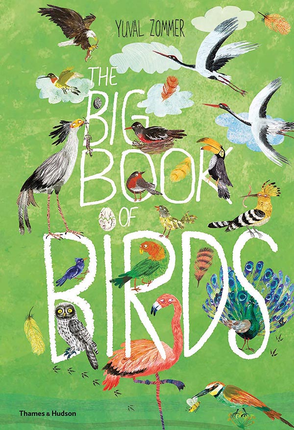 The big book of birds by Yuval Zommer