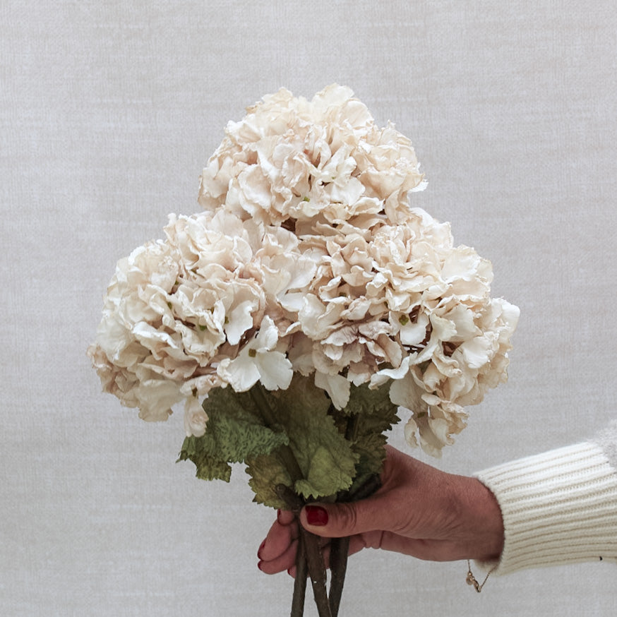 Dusty Pink Dried Touch Ruffle Hydrangea