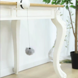 Wow Jewelry Shop Electronic Motion Cat Toy