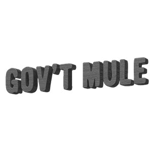 Gov't Mule Jam Band Albums