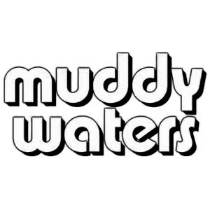 Muddy Waters Blues Albums