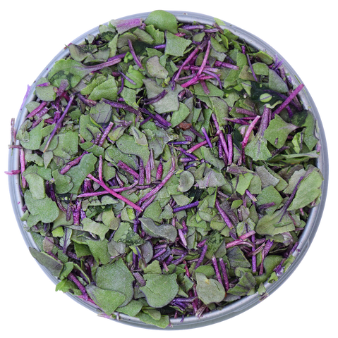 freeze dried cabbage microgreens