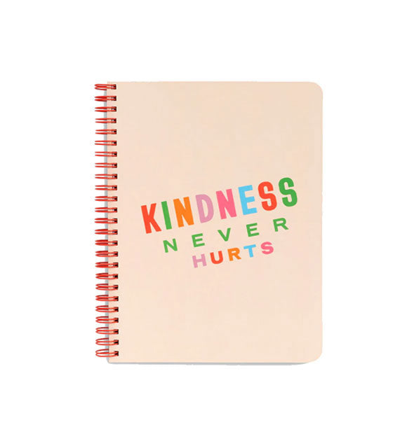 Don't Let Idiots Ruin Your Day: Journal for women, writing prompts,  notebook Cute notebook/mindfulness journal for manifestation, password  organizer,  journal: Blank Lined Notebook 6x9 inches : Journals, Sage  and Pray: .es