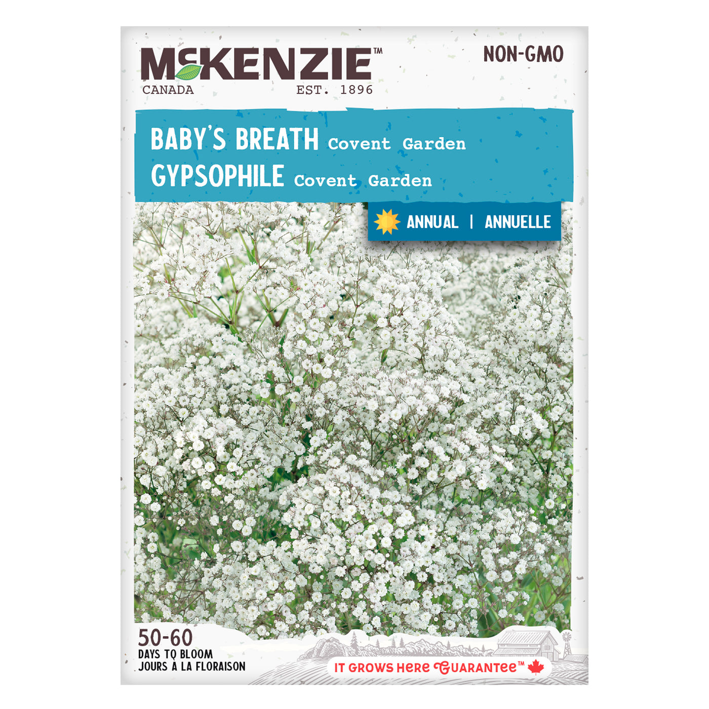 Baby's Breath Seeds – McKenzie Seeds