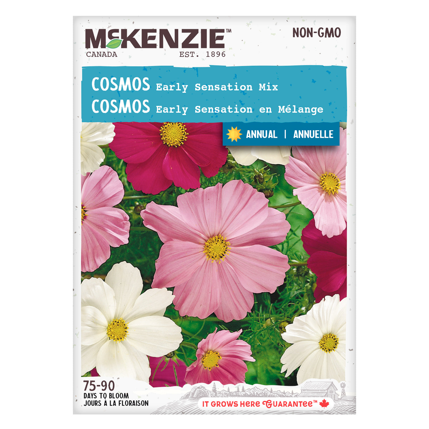 Cosmos Seeds, Early Sensation Mix – McKenzie Seeds
