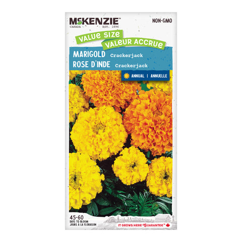 Signet marigold Lulu - lemon; golden marigold – Garden Seeds